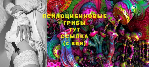 Альфа ПВП Беломорск