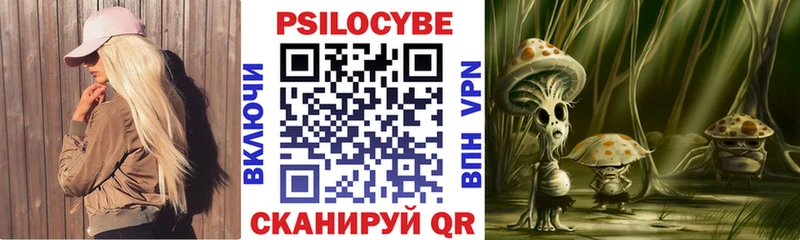 Галлюциногенные грибы мицелий гидра вход Высоковск